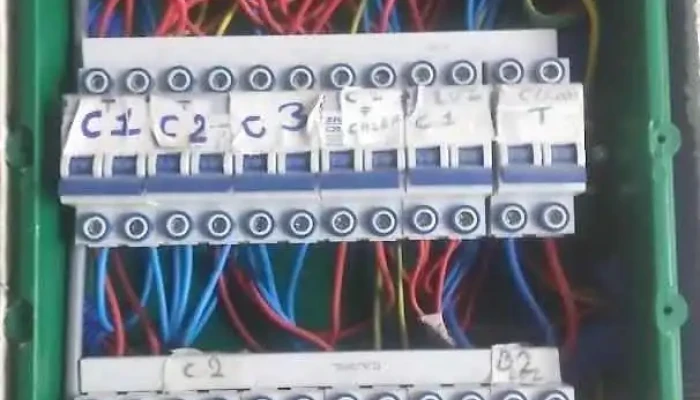 Electricista Autorizado por Ute Wilson 095 934 856 - Punta Del Este