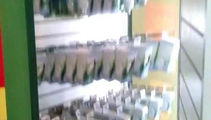 Electro Interior -  Pando - Pando