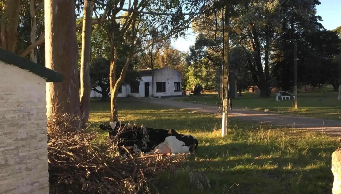 Escuela Agraria Durazno Utu Abierto Ahora - Santa Bernardina