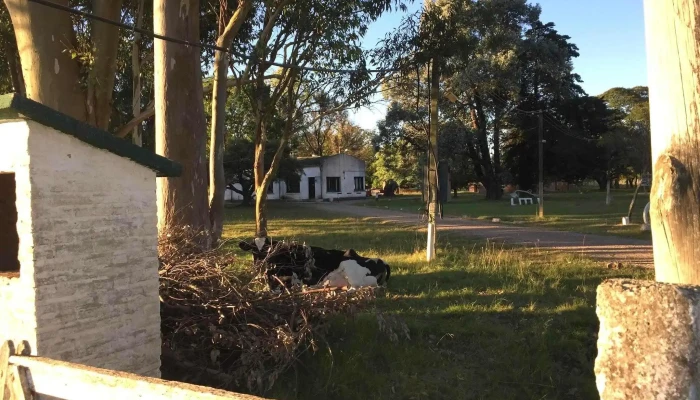 Escuela Agraria Durazno Utu Edificio - Santa Bernardina