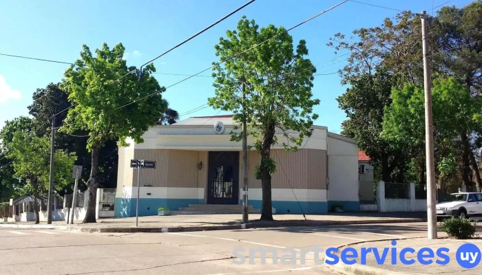 Escuela Ndeg 7 Zorrilla De San Martin Numero - Nueva Palmira