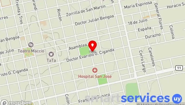 mapa de Escuela Primaria N°50 José Gervasio Artigas Escuela en San José de Mayo