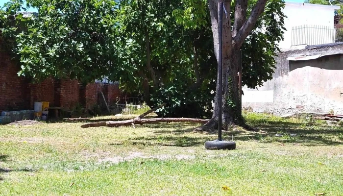 Escuela Tecnica De Paso Molino Instagram - Montevideo