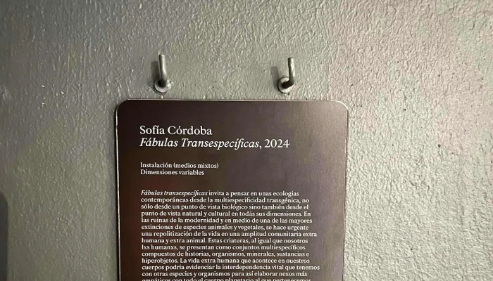 Espacio De Arte Contemporaneo Ubicacion - Montevideo