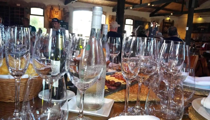 Establecimiento Juanico Bodega Mesa - Juanicó