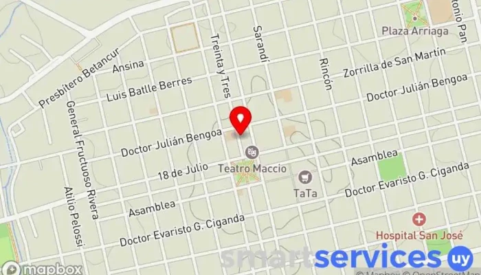 mapa de FARMACIA AMSJ Farmacia en San José de Mayo