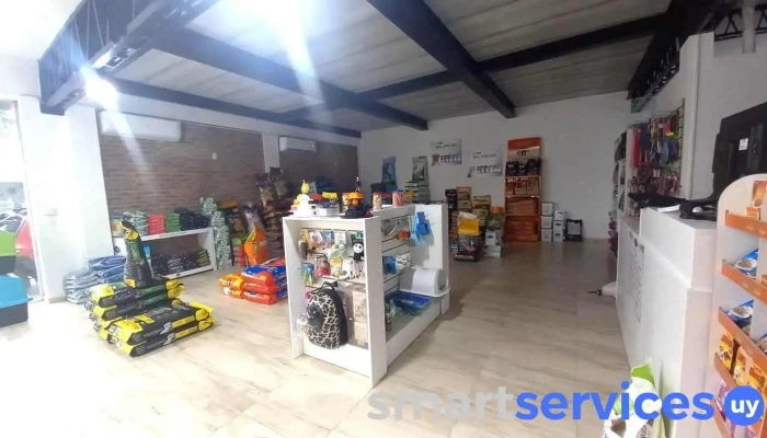 Farmacia Blanc -  Farmacia - Paysandú