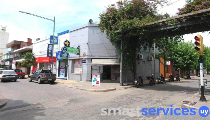 Farmacia Mestre - Melo