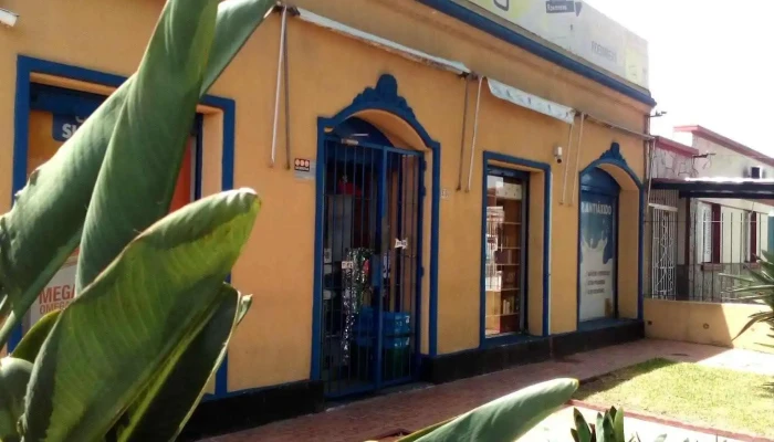 Farmacia Palma -  Farmacia - Montevideo