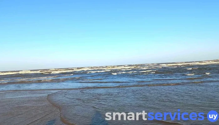 Farmashop 55 -  Videos - Montevideo