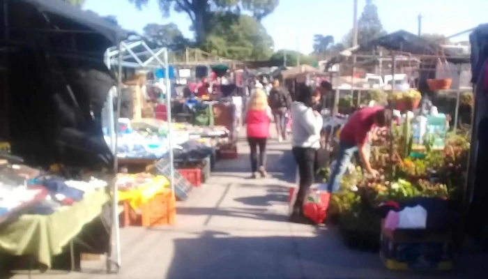 Feria de Manga - Av. José Belloni