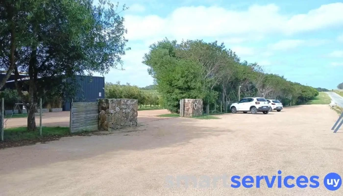 Fernandina Transporte Turistico Transporte Privado Mas Recientes - Maldonado
