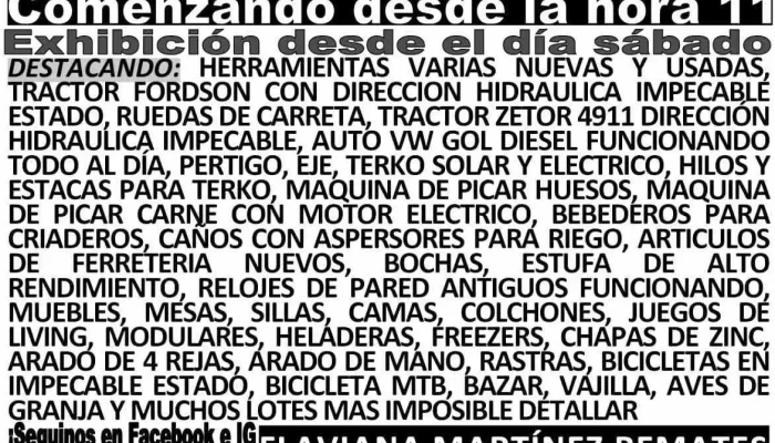 Flaviana Martínez Remates - 91600 Los Arenales