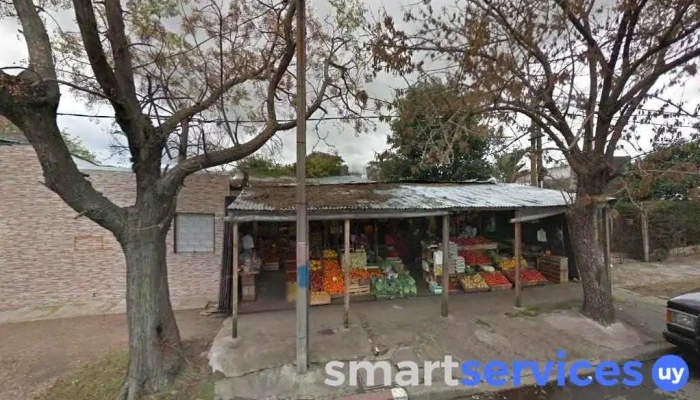 Frutas y Verduras Pérez Castellanos - 12000 Montevideo