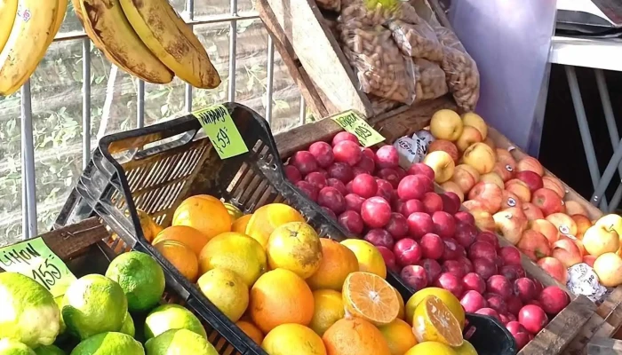 Frutería Onze - 60000 Paysandú