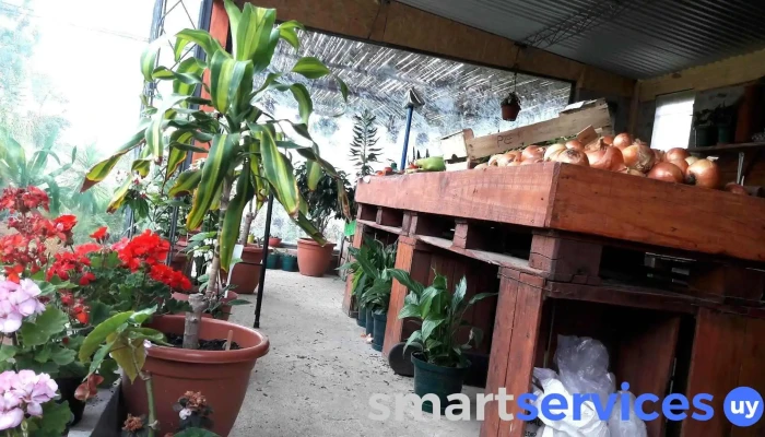 Fruteria Y Verduleria Vivero Pando - 15600 Pando