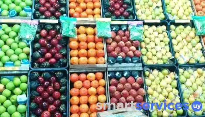 Frutilimón - 94000 Florida