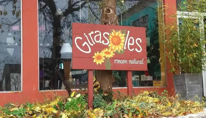 Girasoles - 70500 Juan L. Lacaze