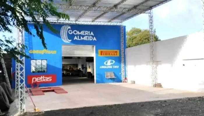 Gomeria Almeida - Tala