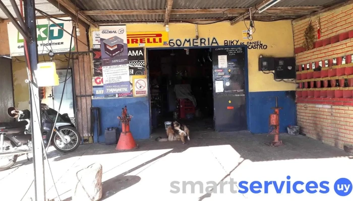 Gomeria Biky -  Centro Comercial - Ombúes de Lavalle