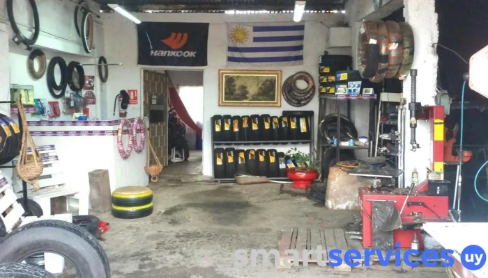 Gomeria Danparo -  Taller De Reparacion De Camaras - Las Piedras