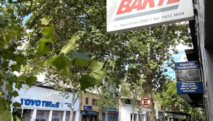 Gomeria De Bartl Del Propietario - Montevideo