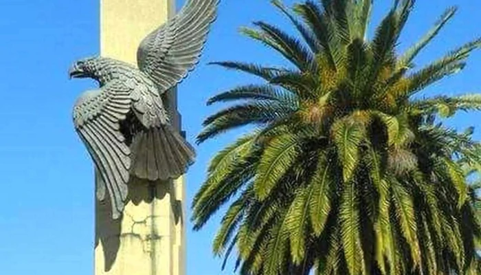 Gomeria El Aguila -  San Jose De Mayo - San José de Mayo