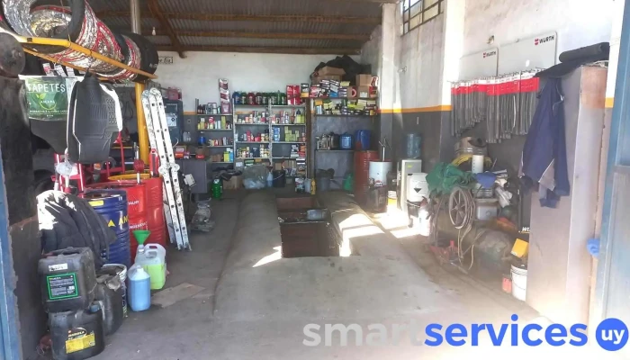Gomeria El Canario Interior - Salinas