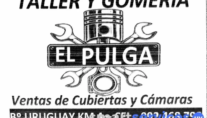 Gomeria El Pulga -  Del Propietario - Salto