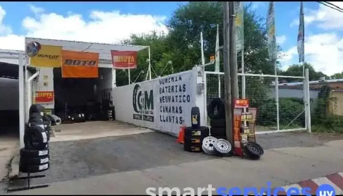 Gomeria Gm Neumaticos Del Propietario - Minas