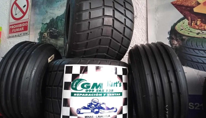 Gomeria Gm Neumaticos Taller Mecanico - Minas