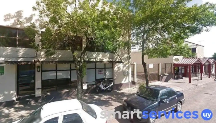 Gomeria La Casa Del Neumatico Young - Young
