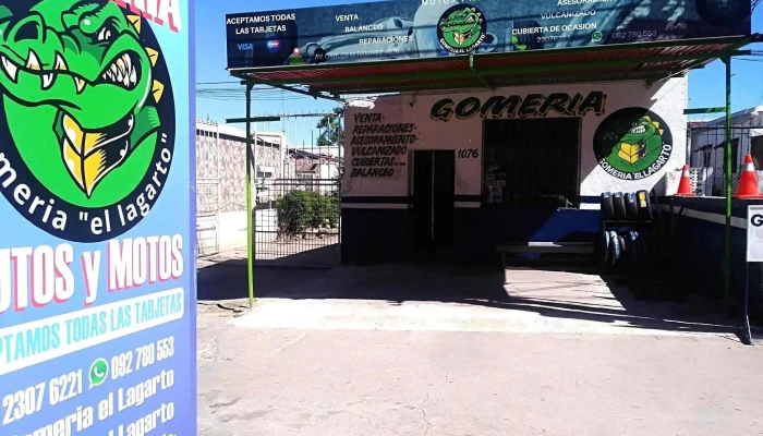 Gomeria Lagarto -  Del Propietario - Montevideo
