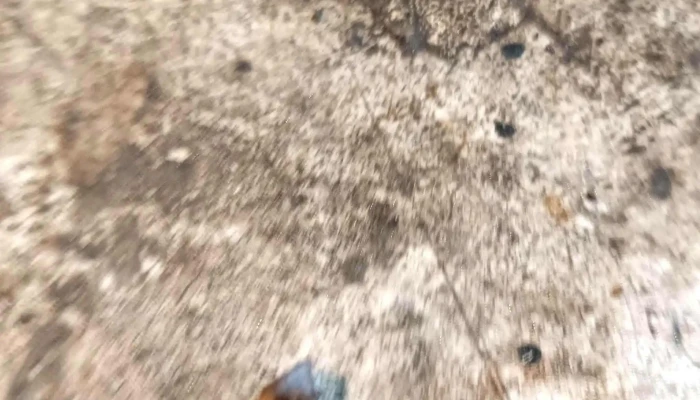 Gomeria Lavadero El Negro -  Cerca De Mi - Parque del Plata