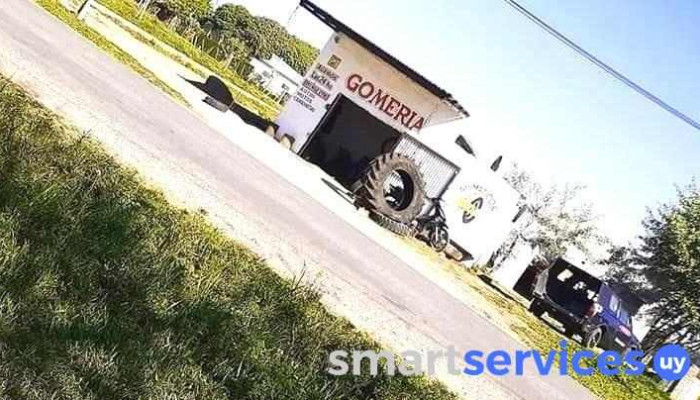Gomeria Lucas Reymundo -  Tienda De Neumaticos - Carmelo