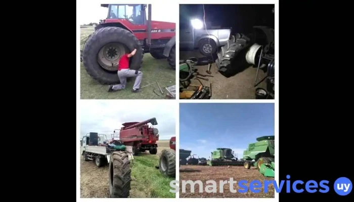 Gomeria Movil -  Videos - Trinidad