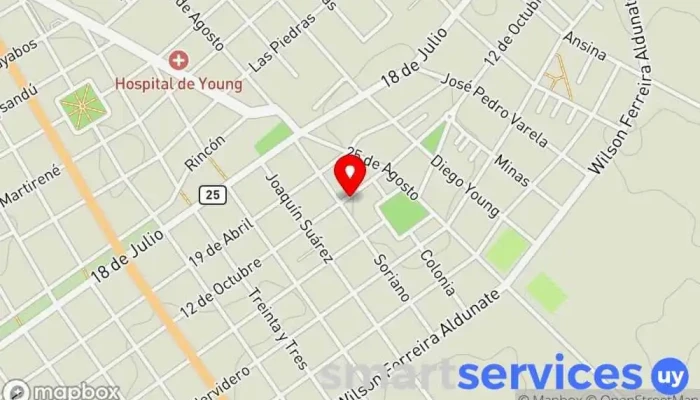 mapa de GROW UP Servicio de marketing por Internet en Young