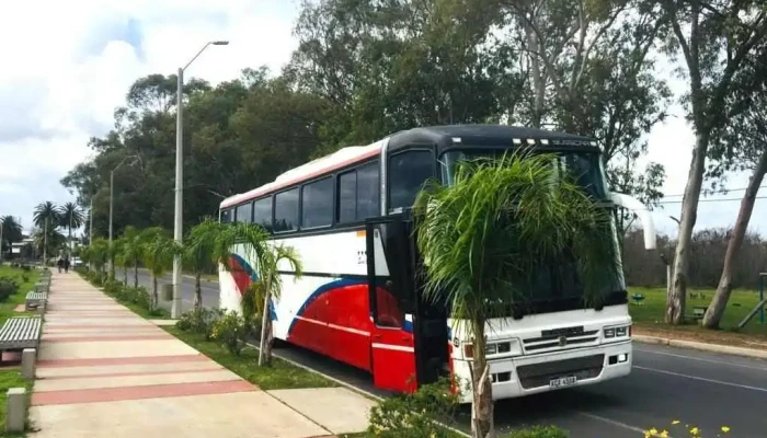 Grupo Phoenix Transporte De Pasajeros -  Del Propietario - Durazno