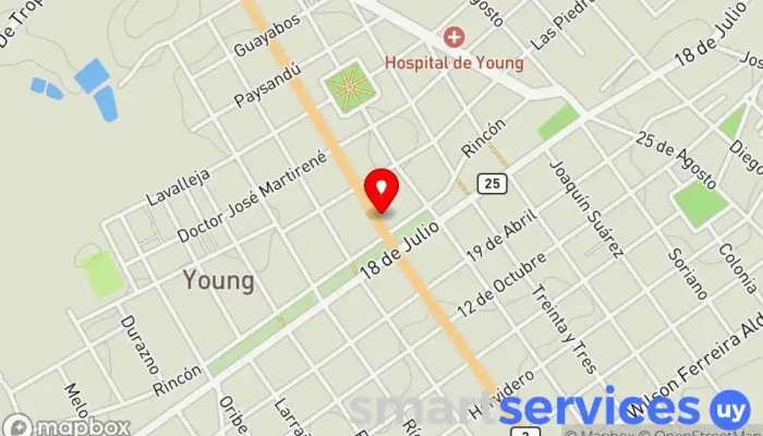 mapa de Hector Indarte Negocios Rurales Agencia inmobiliaria en Young