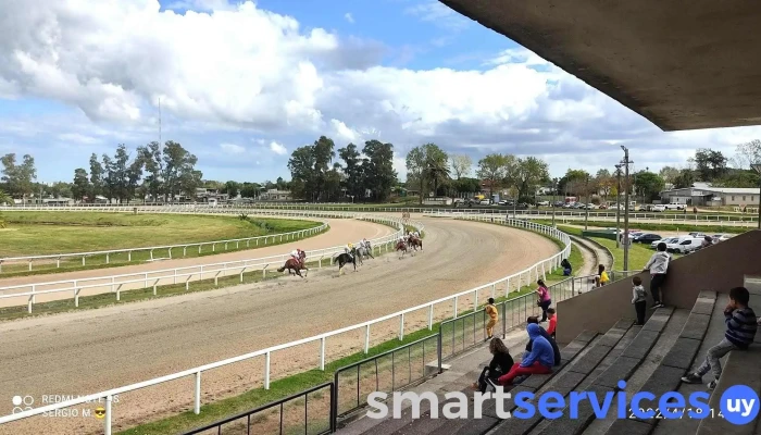Hipodromo De Las Piedras Circuito De Carreras - Las Piedras