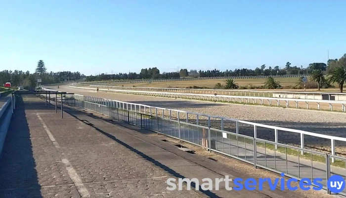 Hipodromo De Las Piedras Videos - Las Piedras