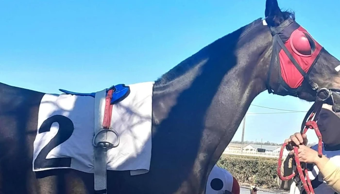 Hipodromo San Felix Como Llegar - San Félix