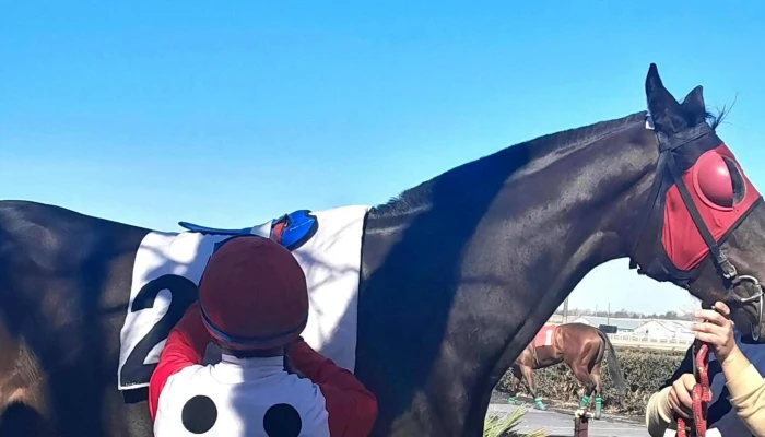 Hipodromo San Felix Numero - San Félix