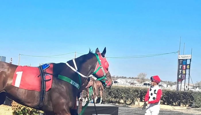 Hipódromo San Felix - San Félix