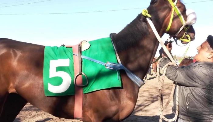 Hipodromo San Felix Videos - San Félix