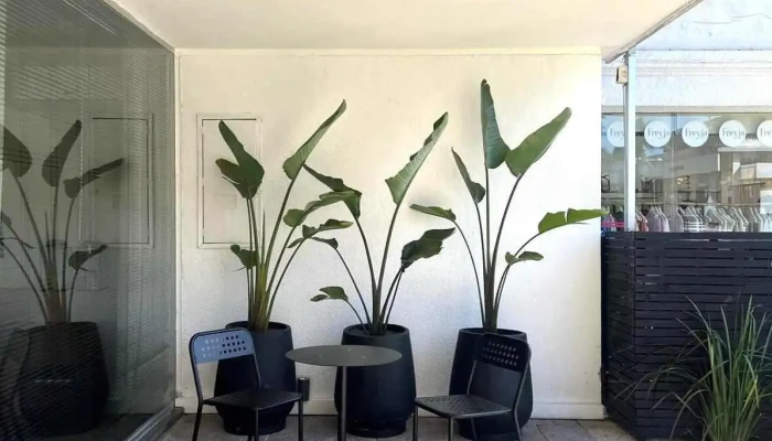 Inmobiliaria Canepa Canepa Interior - Punta del Este