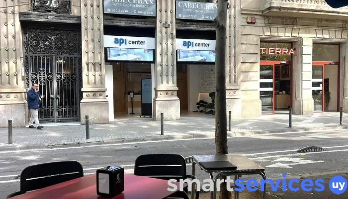 Inmobiliaria Lerena ,api Aicat 13297 - Montevideo