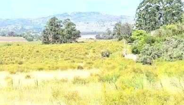 Inmobiliaria Mataojo -  Del Propietario - Solís de Mataojo