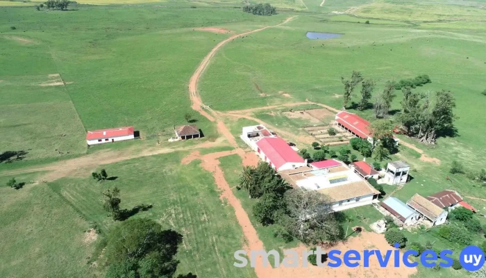 Inmobiliaria Rural Campos Online Uruguay -  Direccion - Nueva Helvecia