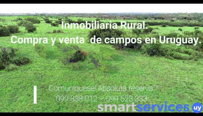 Inmobiliaria Rural Campos Online Uruguay -  Videos - Nueva Helvecia